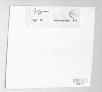 Image Associated With the Occurence